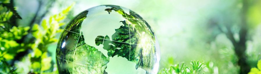 Liquidation of historical ecological load